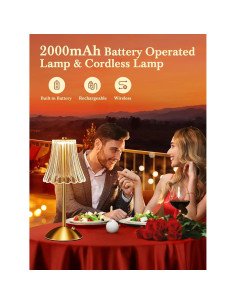 Lámpara Mini Vintage Dorada Rosa Recargable 10 Brillos 2