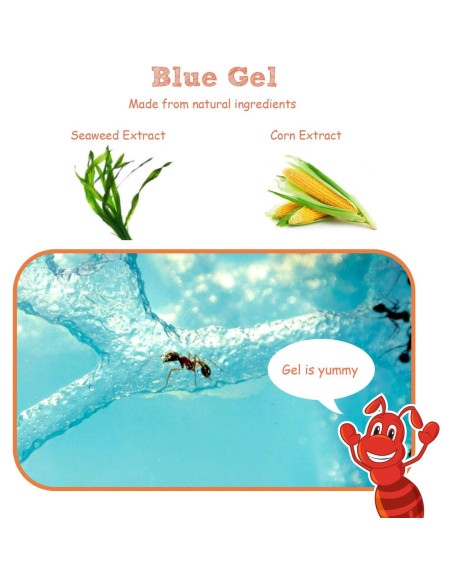 Castillo de Hormigas 2.0 NAVADEAL con Tubo Conector