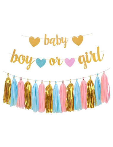 Decoraciones Revelación de Género Aonor - Banner y Borlas