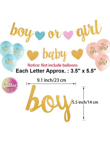 Decoraciones Revelación de Género Aonor - Banner y Borlas