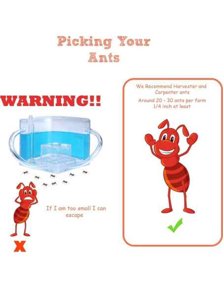 Castillo de Hormigas 2.0 NAVADEAL con Tubo Conector