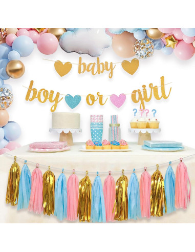 Decoraciones Revelación de Género Aonor - Banner y Borlas