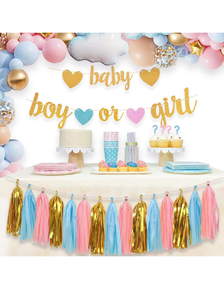 Decoraciones Revelación de Género Aonor - Banner y Borlas Decoraciones Revelación de Género Aonor - Banner y Borlas