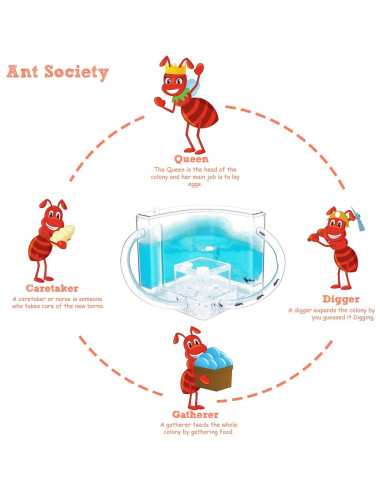 Castillo de Hormigas 2.0 NAVADEAL con Tubo Conector