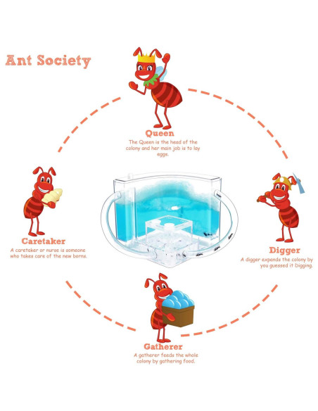 Castillo de Hormigas 2.0 NAVADEAL con Tubo Conector