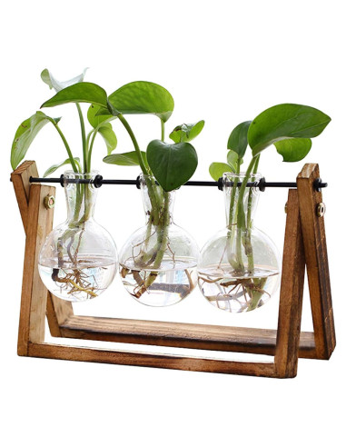 Terrario de Planta HUABEI con Soporte de Madera 3 Bulbos