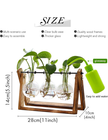 Terrario de Planta HUABEI con Soporte de Madera 3 Bulbos