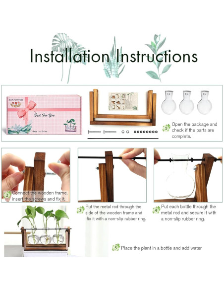 Terrario de Planta HUABEI con Soporte de Madera 3 Bulbos