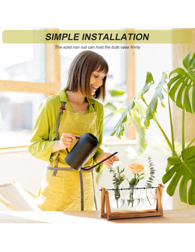 Terrario de Planta HUABEI con Soporte de Madera 3 Bulbos