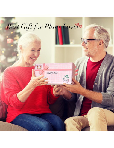 Terrario de Planta HUABEI con Soporte de Madera 3 Bulbos