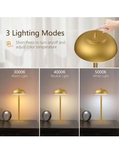 Lámpara de Mesa LED Inalámbrica FenFud 2 Paquetes Oro 2