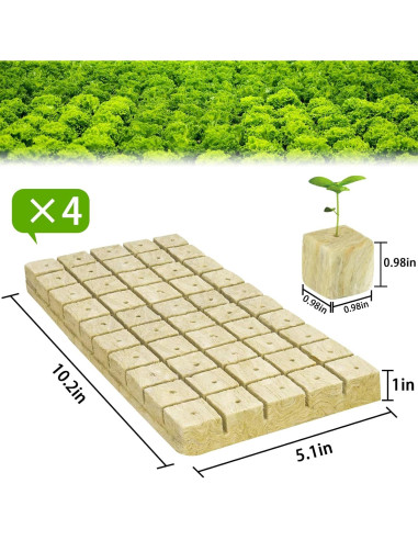 Cubos de Lana de Roca Halatool 1 Pulgada 200 Piezas