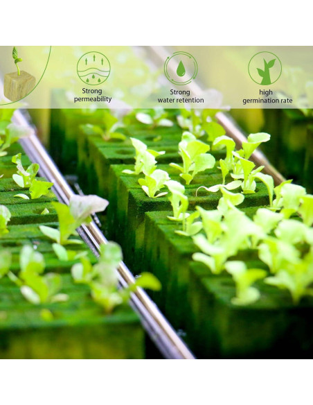 Cubos de Lana de Roca Halatool 1 Pulgada 200 Piezas