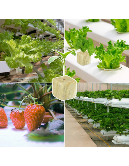 Cubos de Lana de Roca Halatool 1 Pulgada 200 Piezas