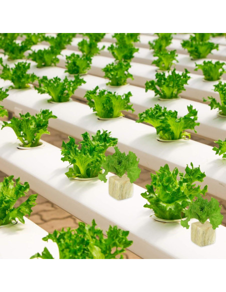 Cubos de Lana de Roca Halatool 1 Pulgada 200 Piezas