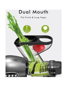 Extractor de Jugo SIFENE Masticador Lento 3" Doble Entrada 2