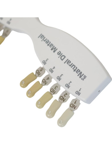 Guía de Color Dental FAQQI 5 Colores y 4 Tonos