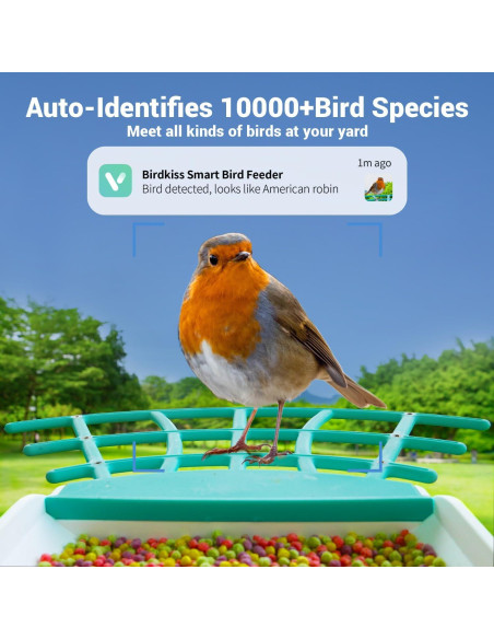 Comedero Inteligente para Aves Birdkiss 1080P HD Solar