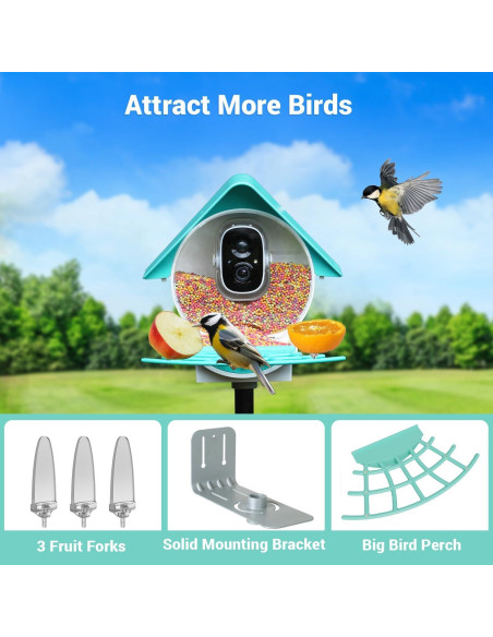 Comedero Inteligente para Aves Birdkiss 1080P HD Solar