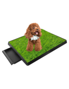 Caja de Arena para Perros GPCT 63.5x50.8cm Césped Sintético