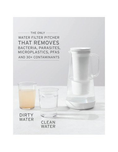 Jarra filtradora LifeStraw Home 10 tazas Wisteria libre BPA
