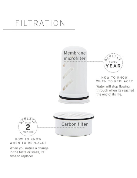 Jarra filtradora LifeStraw Home 10 tazas Wisteria libre BPA