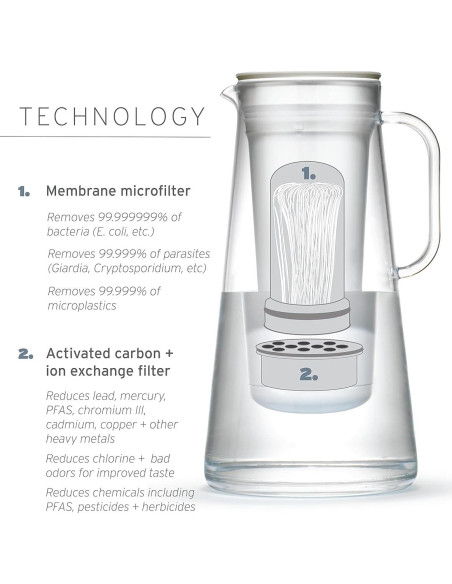 Jarra filtradora LifeStraw Home 10 tazas Wisteria libre BPA