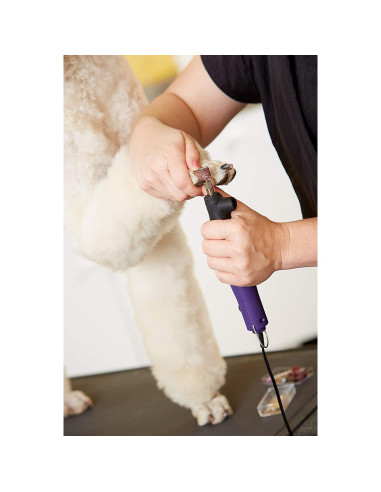 Accesorios de Reemplazo Andis para Molinillo de Uñas Multi