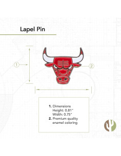 Pin de Solapa Cactus del Desierto NBA Chicago Bulls Esmalte 2