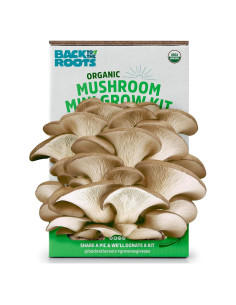 Kit de Cultivo de Champiñones Orgánico Back to the Roots Mini