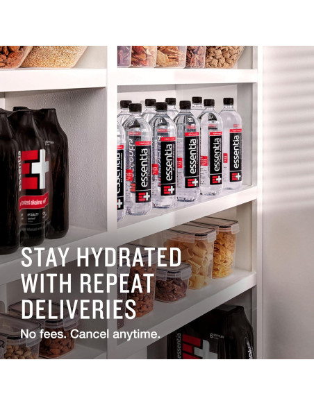 Agua Alcalina Essentia 1L x12, pH 9.5, 99.9% Pura