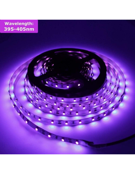 inShareplus Tira LED UV 24W 10M 600 LEDs 12V para Fiesta
