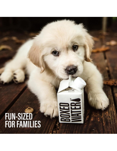 Agua Purificada Boxed Water 24 Paquete 250 ml Sostenible