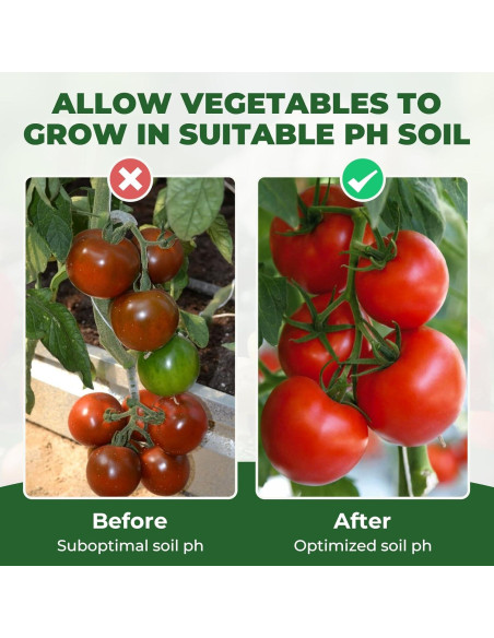 Kit de Prueba de pH del Suelo NewTest 125 Tiras y Cilindros