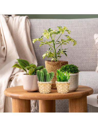 Kisangel 6Pcs Mini Canasta Tejida Redonda para Decoración