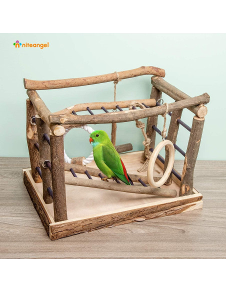 Centro de Actividad para Aves Niteangel 35x25 cm