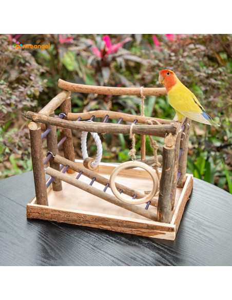 Centro de Actividad para Aves Niteangel 35x25 cm