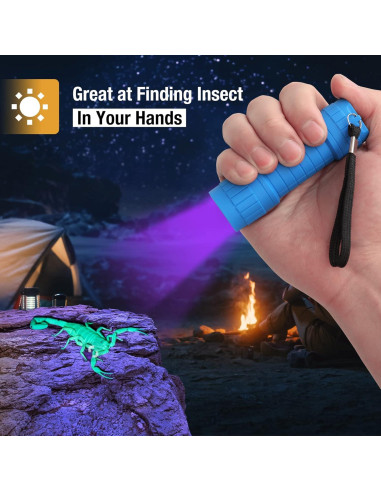 Linterna UV EverBrite Mini 9 LEDs 395nm para Mascotas