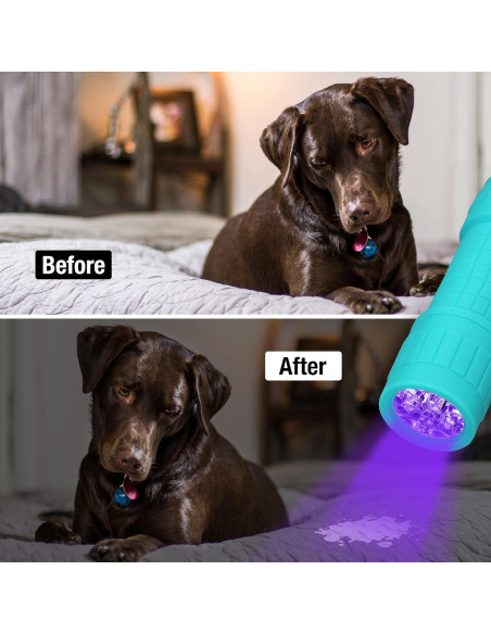 Linterna UV EverBrite Mini 9 LEDs 395nm para Mascotas