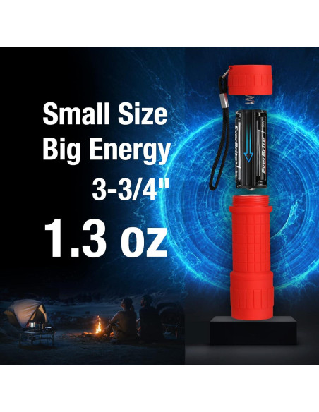 Linterna UV EverBrite Mini 9 LEDs 395nm para Mascotas