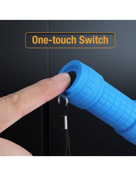 Linterna UV EverBrite Mini 9 LEDs 395nm para Mascotas