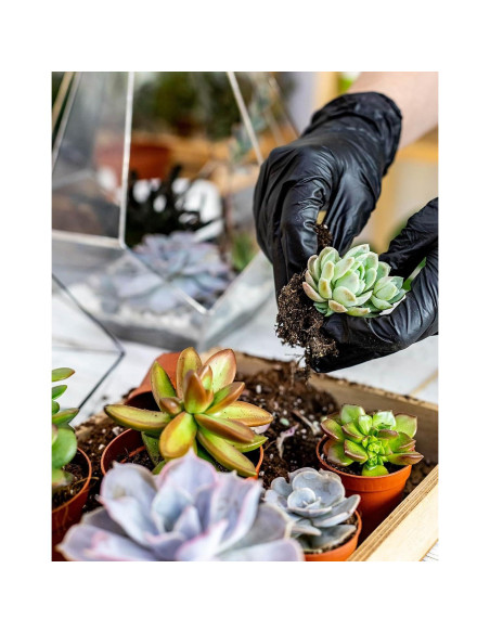 Juego de Herramientas de Jardinería Melphoe 25 Piezas Mini