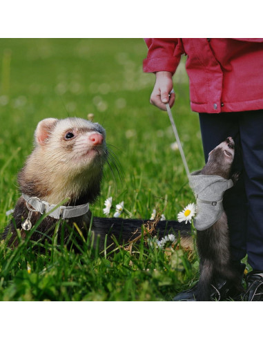 Conjunto de Arnés y Correa para Hurones Foaincore 6 Pcs