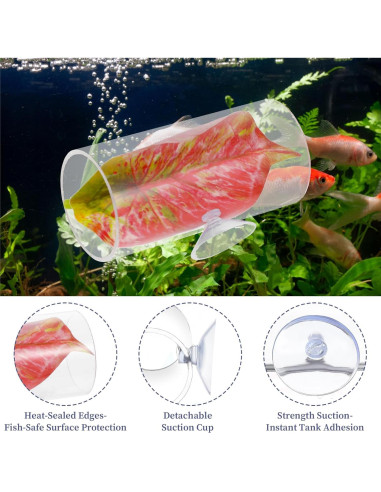 Set de 5 Accesorios para Acuario Betta Quilax - Hamacas y Túnel