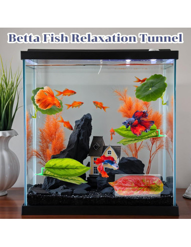 Set de 5 Accesorios para Acuario Betta Quilax - Hamacas y Túnel