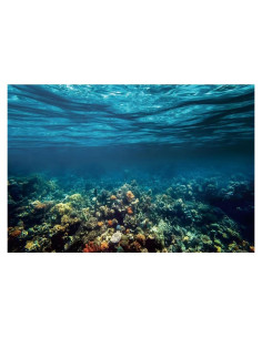 Fondo de Fotografía Renaiss 7x5ft Mar Submarino Azul