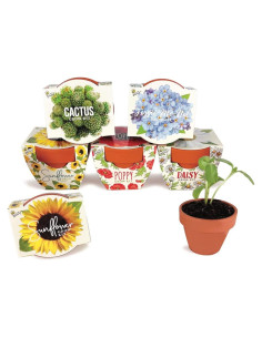 Kit de Macetas Mini de Terracota Buzzy | 6 Unidades para Jardín