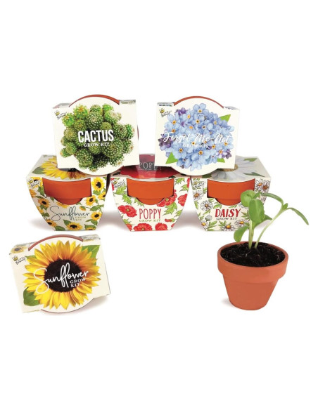 Kit de Macetas Mini de Terracota Buzzy | 6 Unidades para Jardín Kit de Macetas Mini de Terracota Buzzy | 6 Unidades para Jardín