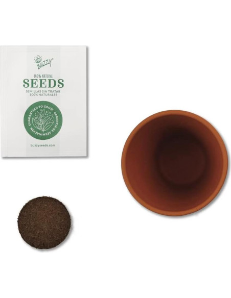 Kit de Macetas Mini de Terracota Buzzy | 6 Unidades para Jardín Kit de Macetas Mini de Terracota Buzzy | 6 Unidades para Jardín
