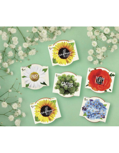 Kit de Macetas Mini de Terracota Buzzy | 6 Unidades para Jardín